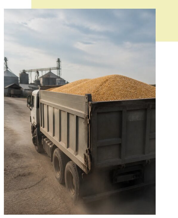 Перевозка сельхозпродукции навалом в Чистополь по цене от 3072 р. | Агросервис-Чст